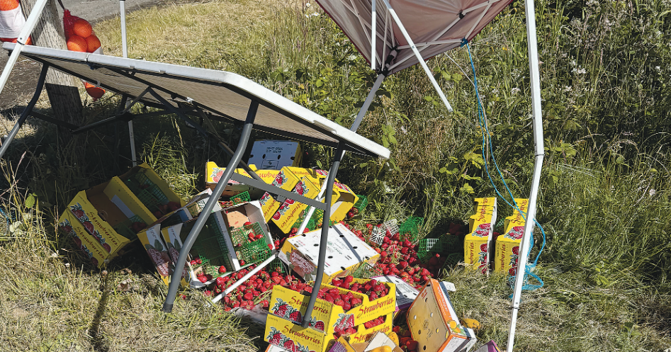 New Details: Fundraiser launched for roadside vendor, effort follows officer involved shooting Jeremy C. Ruark Lincoln County Leader Jun 24, 2026 10 mins ago