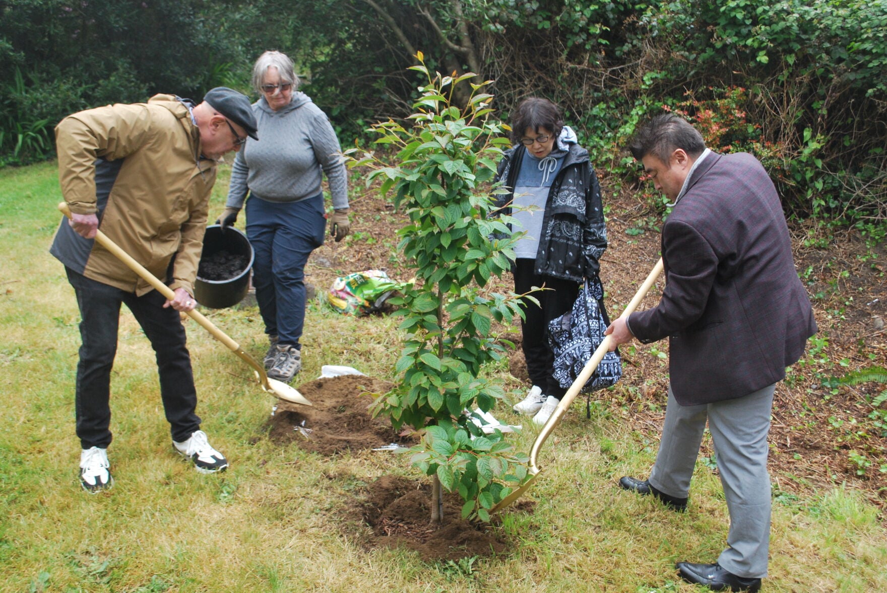 Tree planting unites Newport, Oregon and Mombetsu, Japan | News ...