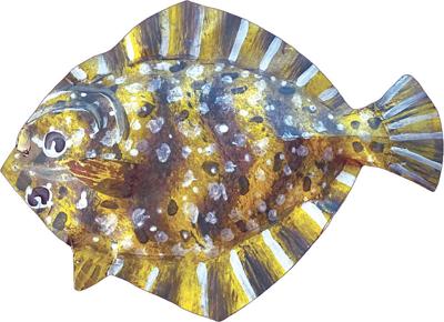 after-school-art-classes-3D-Fish