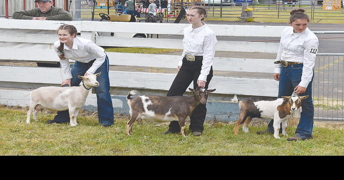 Lincoln County Fair opens today News