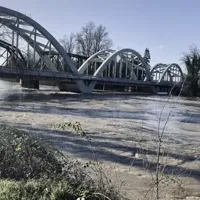 6a26e3a198aaf.image.webp?crop=360,360,95