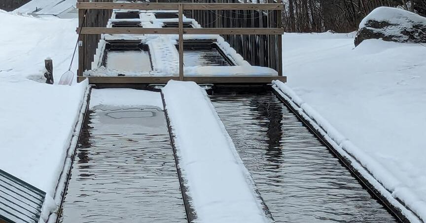 A Plan to Upgrade Vermont's Fish Culture Stations in the Works ED BARBER, Staff Writer Sep 10, 2026 17 mins ago