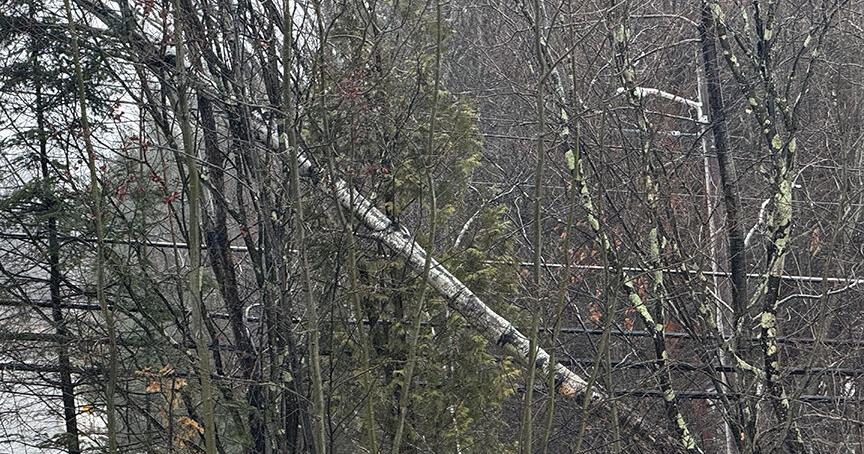 UPDATED! High Winds Knock Out Power to Thousands in Orleans County ...