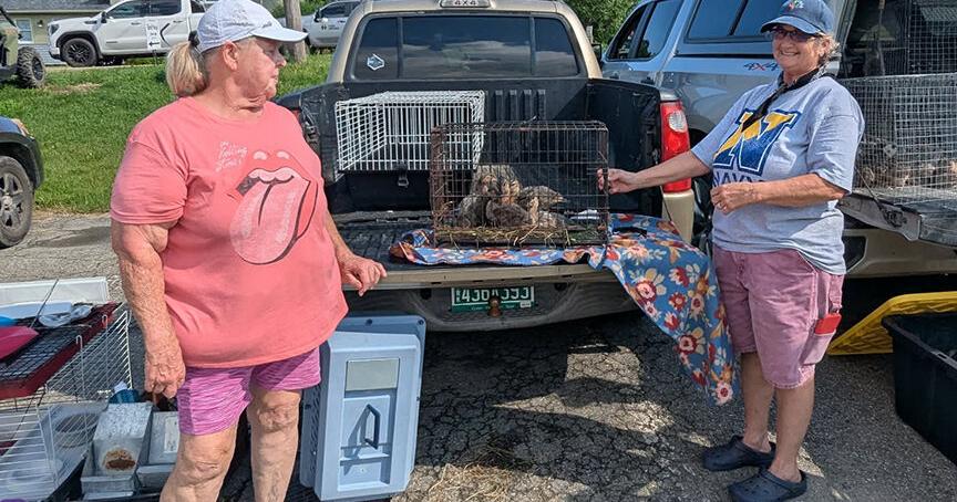 Enthusiasts Flock To Bird Swap ED BARBER, Staff Writer Aug 12, 2026 Aug 12, 2026 Updated 17 mins ago