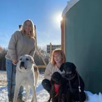 Green Mountain Paws, From Dog Walking to Pet Care | News Green Mountain Paws, From Dog Walking to Pet Care | News