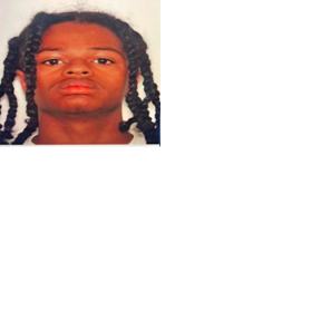 Suspect sought after killing police K-9 - Vimarsana News