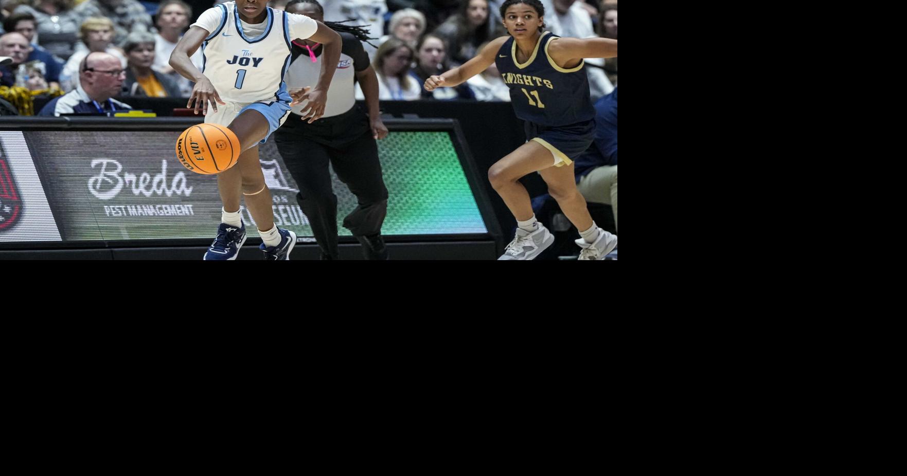 Lovejoy girls basketball finishes as state runnerup to River Ridge