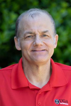 TIMOTHY DALY: Addressing concerns about Asian needle ants