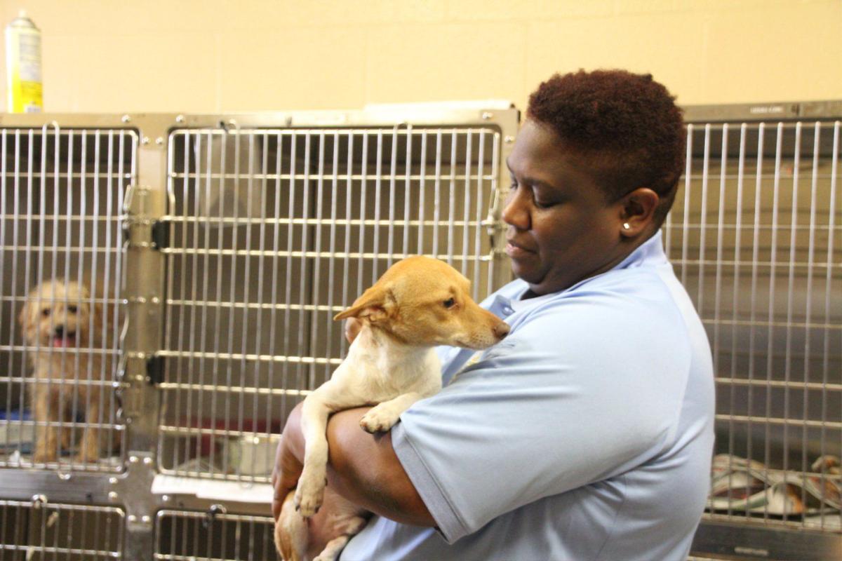 Big Changes At Clayton Animal Control Features News Daily Com