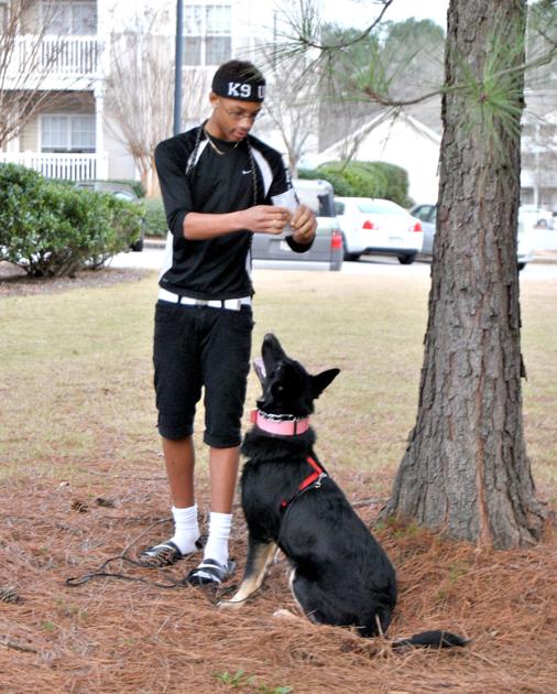 K9 Kiddo Riverdale Teen Starts Own Business Training Dogs Features News Daily Com