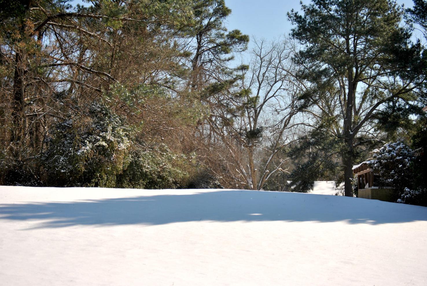 Winter Wonderland in Clayton County Multimedia