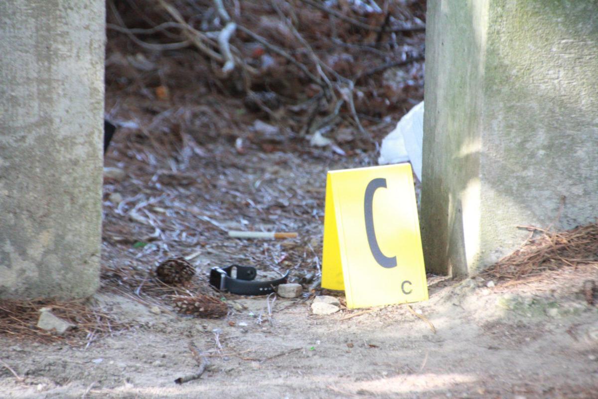 Rifle Fire 2 Wounded In Riverdale Extended Stay Shooting Features News Daily Com