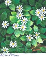 MORRIS: Even the lowly chickweed can be of benefit