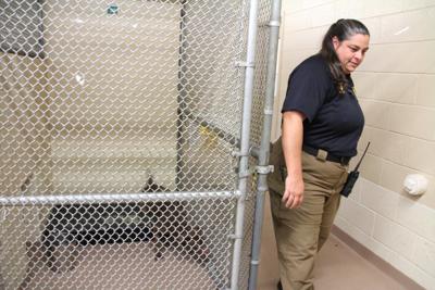 Big Changes At Clayton Animal Control Features News Daily Com