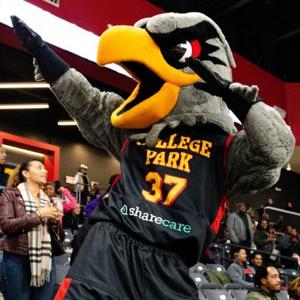 College Park Skyhawks' 2026-27 schedule released by NBA G League