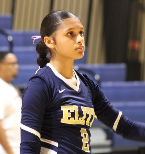 Emily Rothman Volleyball Elite Scholars Volleyball Players Named All-State | Sports | news-daily.com
