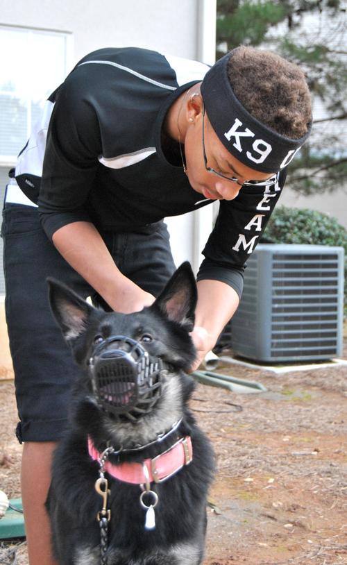 K9 Kiddo Riverdale Teen Starts Own Business Training Dogs Features News Daily Com