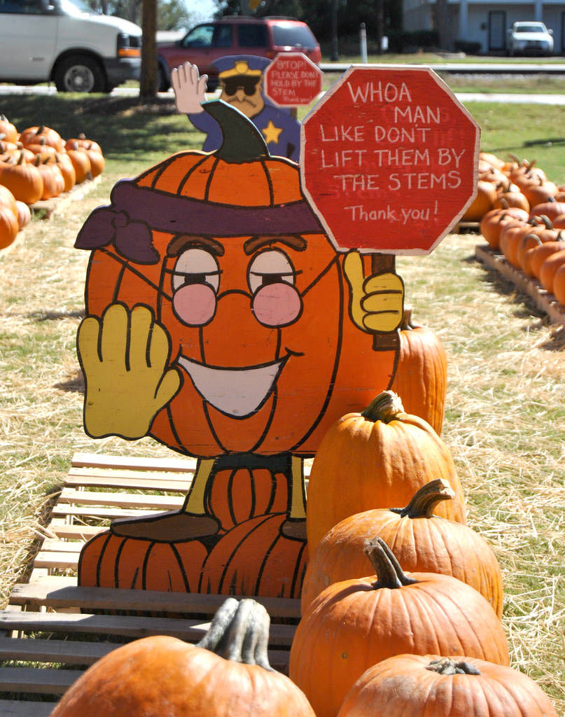 pumpkin patch in henry county ga