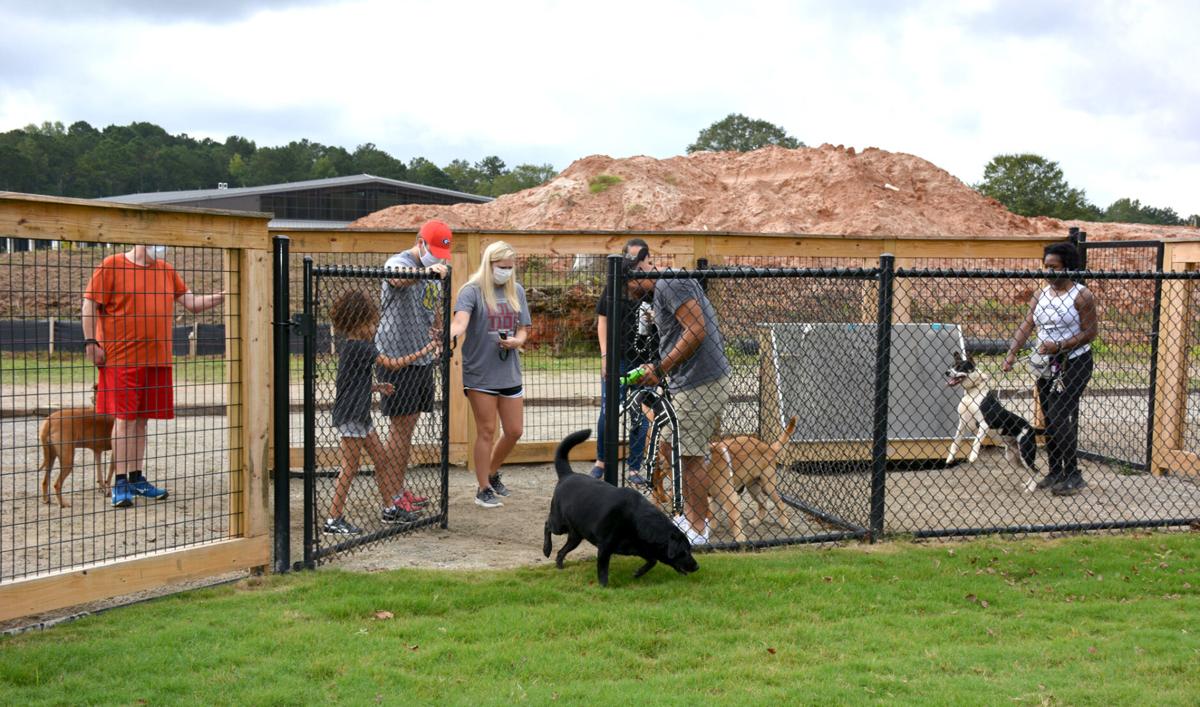 New dog park opens at International Park in Jonesboro News news