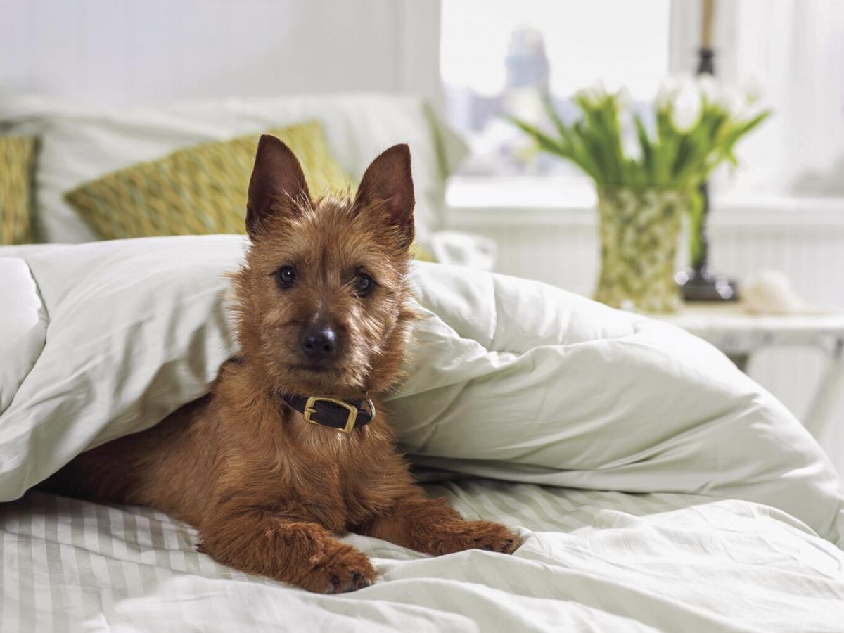 Good Morning It S Thursday January 14 2021 Features News Daily Com Good morning have a sweet day. thursday january 14 2021