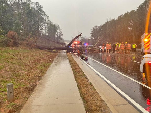 One Person Killed As Tree Falls Onto Vehicle | News | news-daily.com