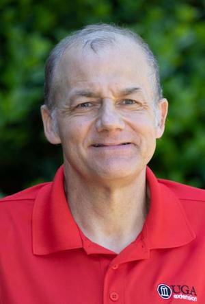 TIMOTHY DALY: Cool-weather annuals cover the landscape