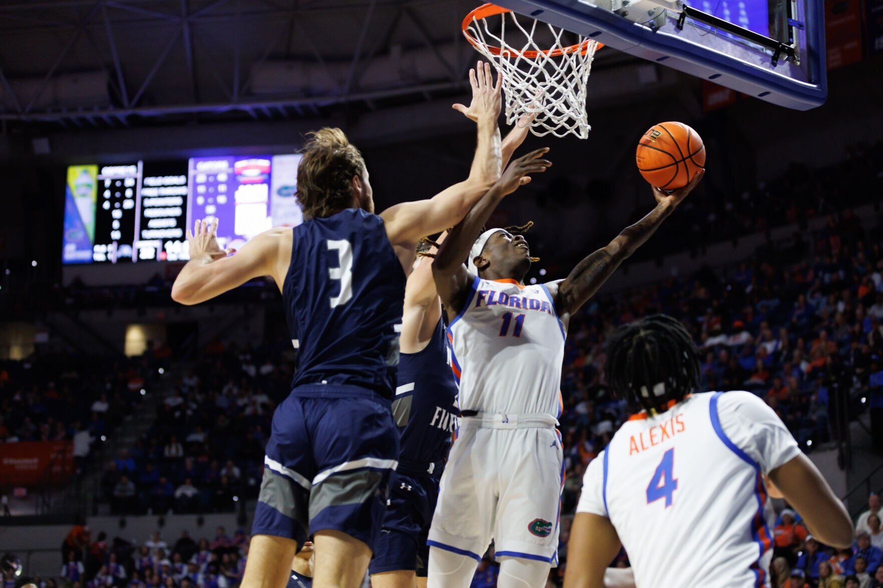 NCAA Basketball: North Florida At Florida | Fieldlevel | News-daily.com