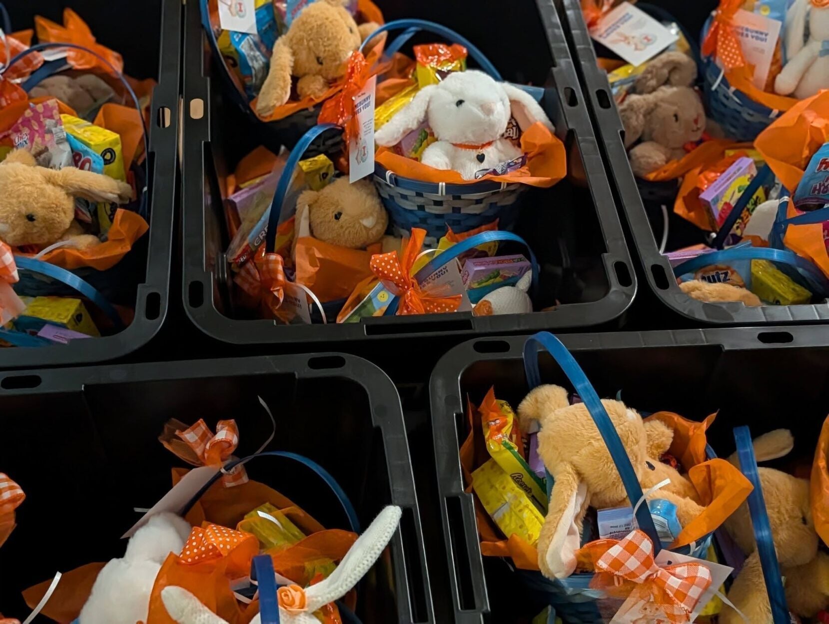 news-gazette.com - JANA WIERSEMA jwiersema@news-gazette.com - It's Your Business | Special delivery: St. Joseph woman's business creates care packages for UI students