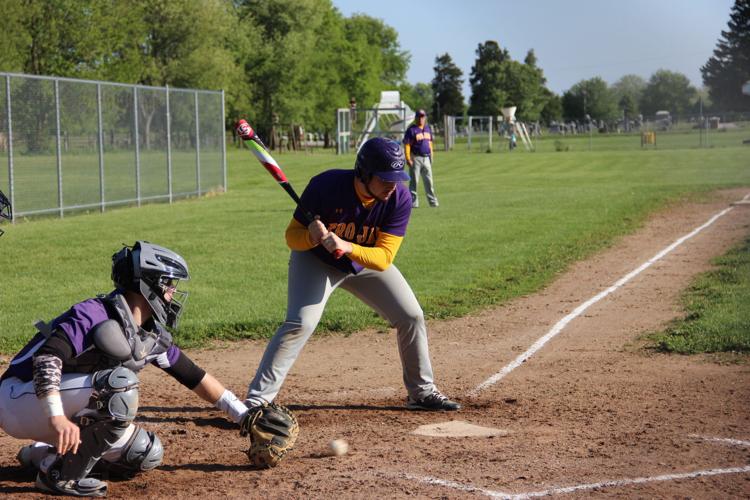 ArmstrongPotomac Spring sports yearinreview Our County