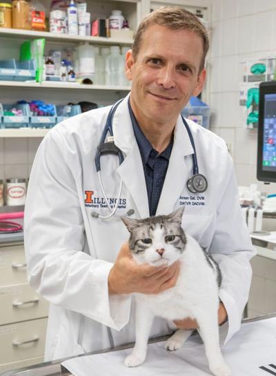 Pet Talk Urinary Tract Disorders Common In Cats Pets News