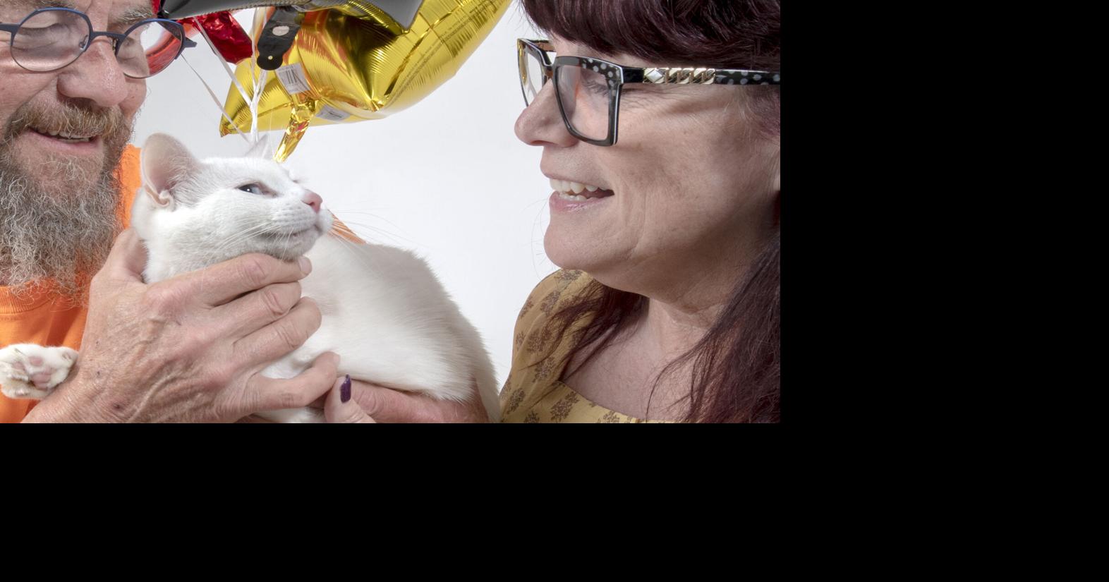 Three years and 1,200 miles later, stolen cat reunited with rescue ...