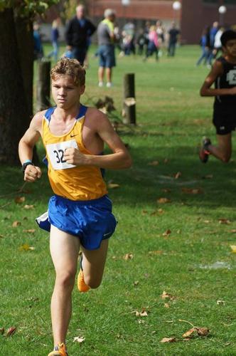 PBL boys cross country earns trip to IHSA Class 1A state meet | Ford ...