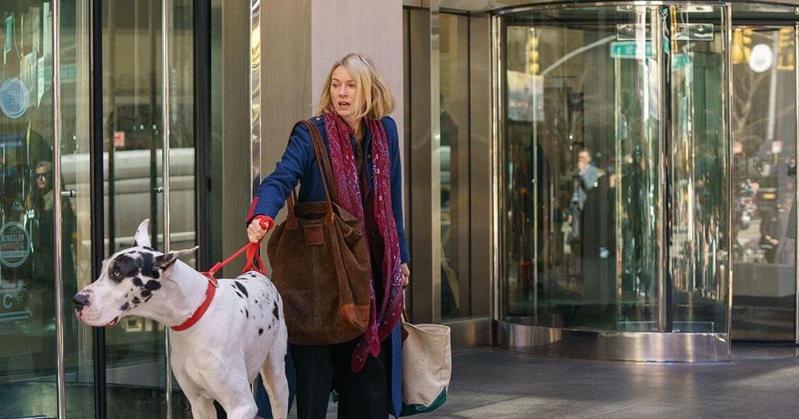 The Screening Room | ‘The Friend’ a testament to the power of pets | Film-television