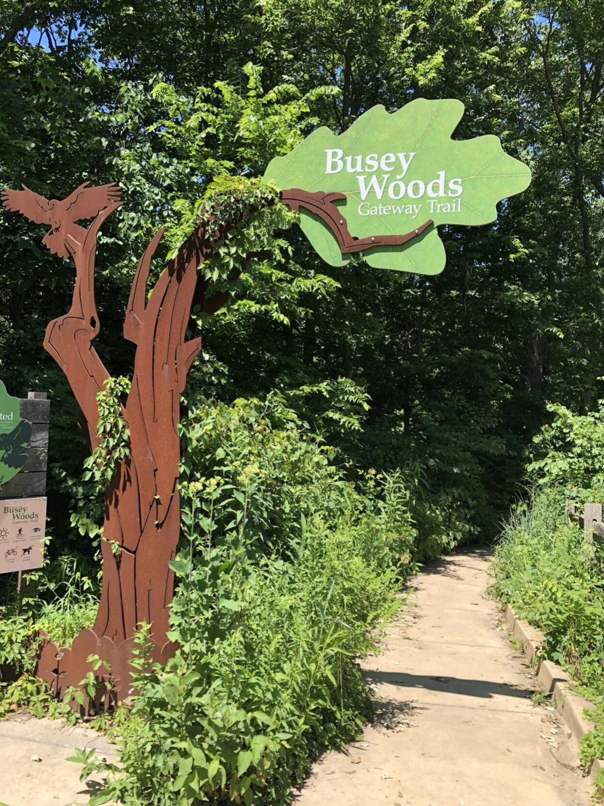 Inside Out Busey Woods Full Of Rich History Parks Recreation