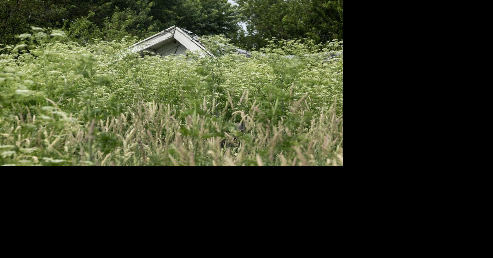 Kathy's #Mailbag, June 5, 2026