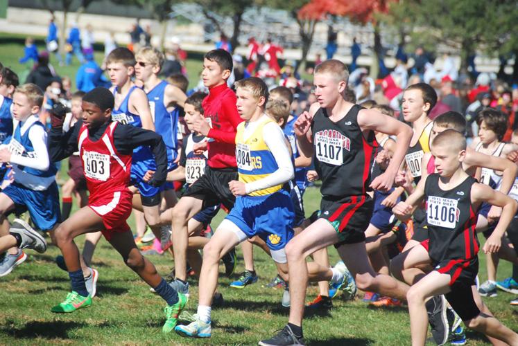 IESA cross country state meet Ford County