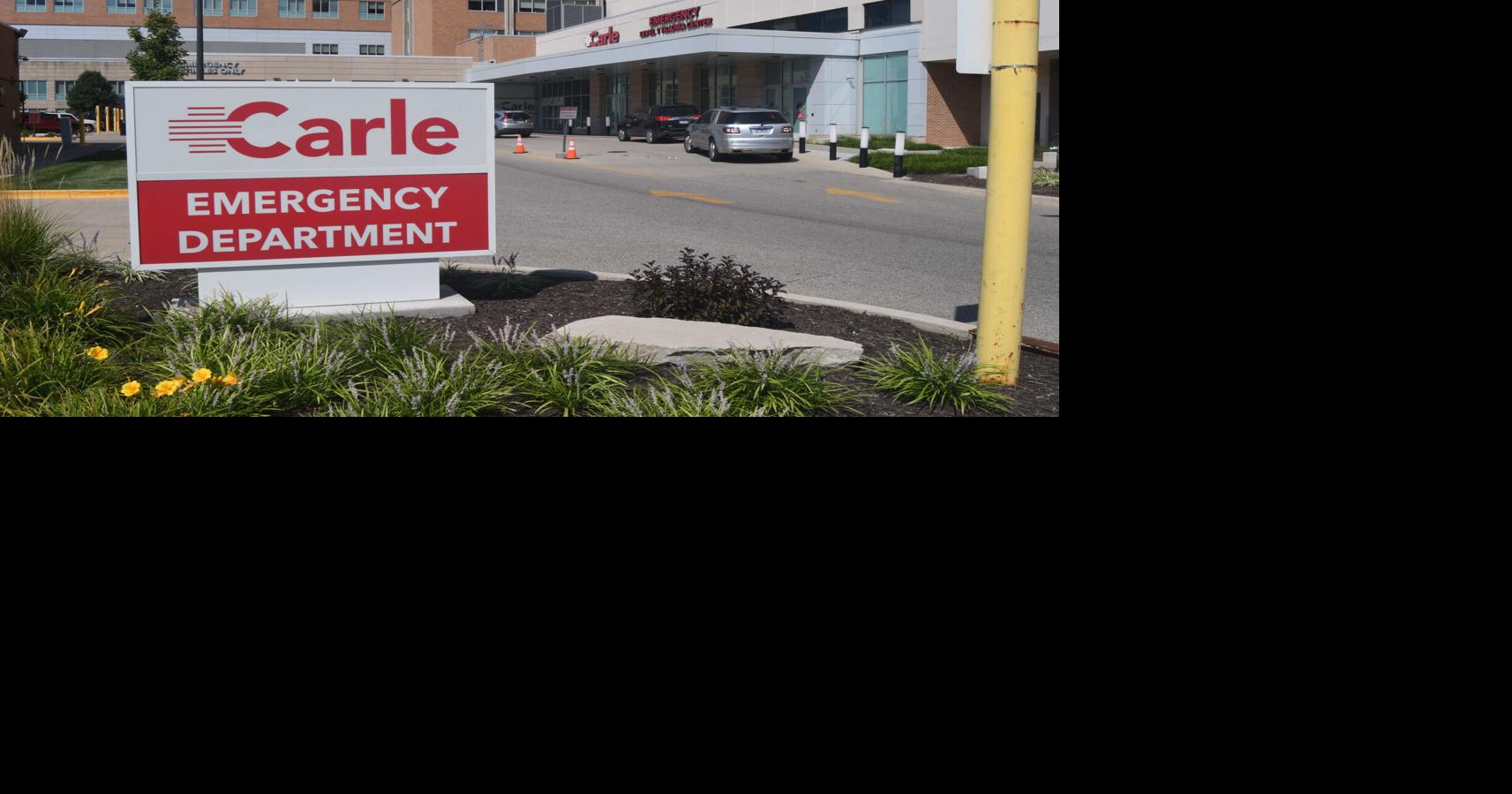 Carle's proposal to add beds meets most of state's criteria except cost ...