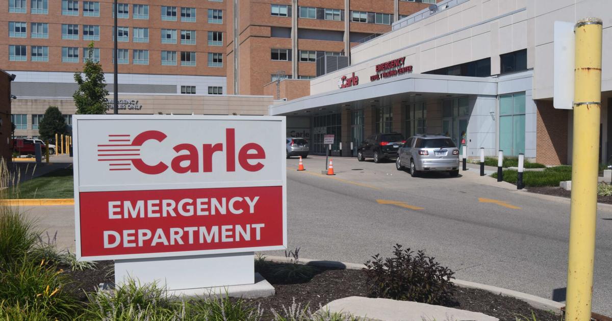 Carle Carle's proposal to add beds meets most of state's criteria except cost ...