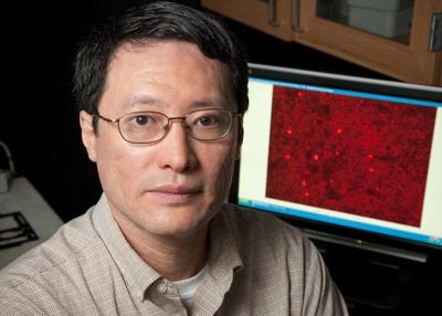 UPDATED: UI trustees fire tenured professor over falsified research