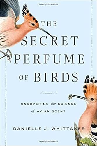 'The Secret Perfume of Birds'