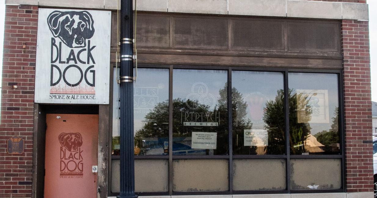 Work at Black Dog in Urbana drawing attention - Vimarsana News