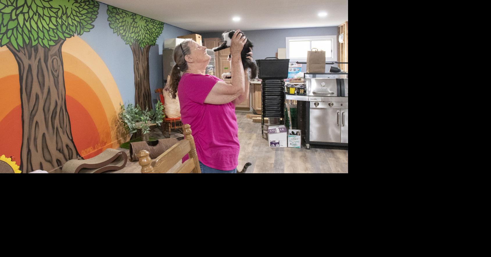 It's Your Business: 'The Kitty Crib' café under development at Moore's ...