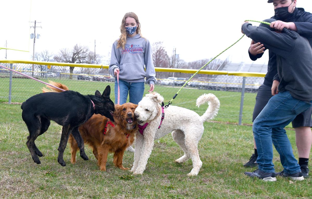 Monticello Animal Science Class Finishes Its Pet Project Education News Gazette Com