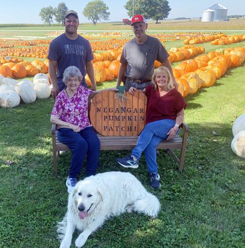 Pumpkins and people.jpg