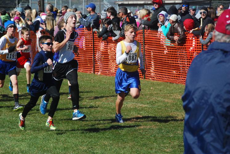 IESA cross country state meet Ford County