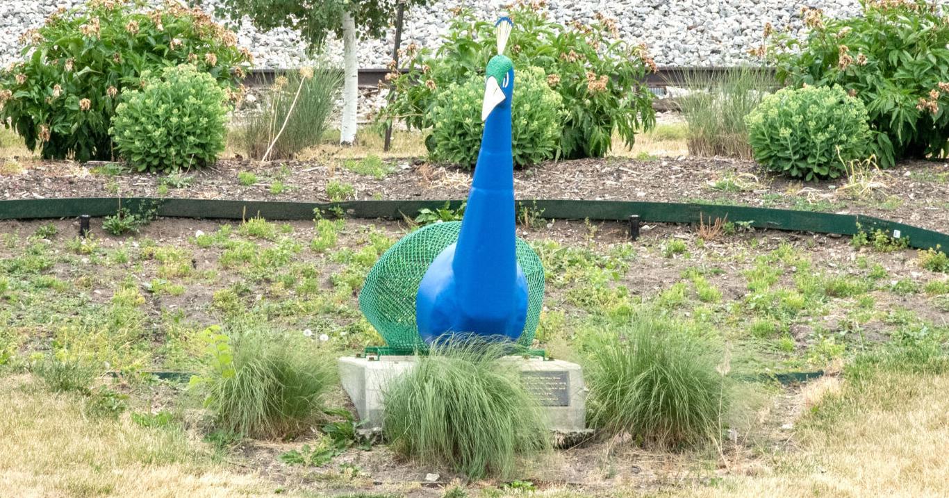 Kathy's #Mailbag, June 16, 2023 - Vimarsana News