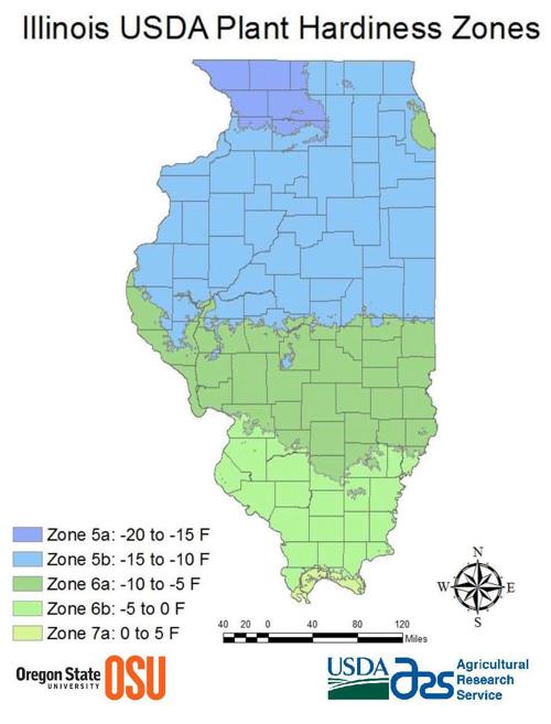 Planting Zones Illinois