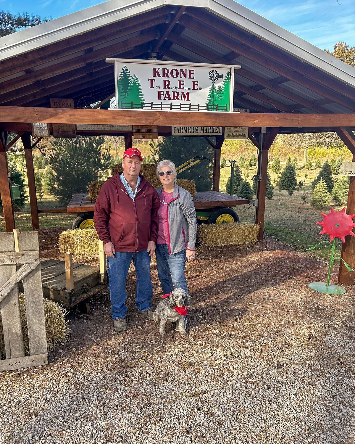 news-gazette.com - PHYLLIS COULTER FarmWeek - FarmWeek | Christmas tree farm gears up for bright future