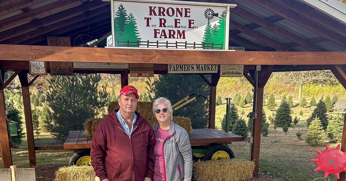 FarmWeek | Christmas tree farm gears up for bright future