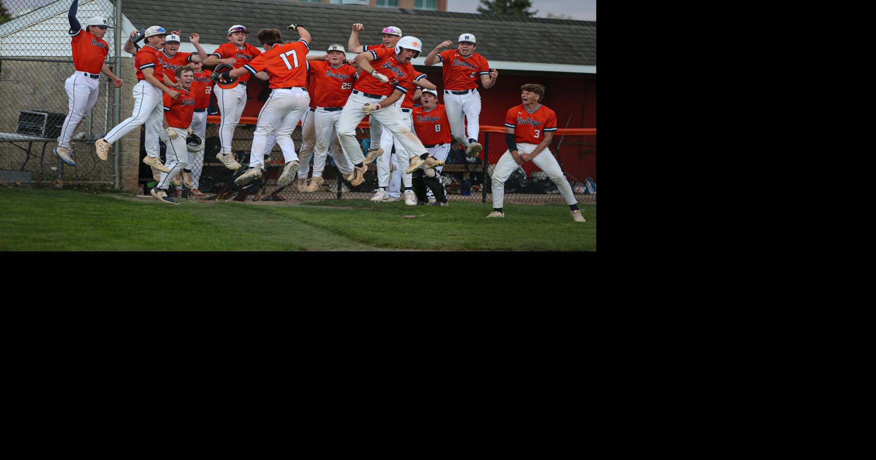The News-Gazette’s baseball Top 10: Area teams have plenty to celebrate ...